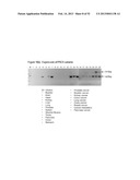 ANTIBODIES THAT BIND TO PSCA PROTEINS FOR DIAGNOSIS OF CANCER diagram and image