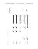 ANTIBODIES THAT BIND TO PSCA PROTEINS FOR DIAGNOSIS OF CANCER diagram and image