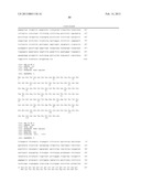 ANTIBODIES THAT BIND TO PSCA PROTEINS FOR DIAGNOSIS OF CANCER diagram and image