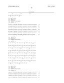 ANTIBODIES THAT BIND TO PSCA PROTEINS FOR DIAGNOSIS OF CANCER diagram and image