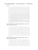 ANTIBODIES THAT BIND TO PSCA PROTEINS FOR DIAGNOSIS OF CANCER diagram and image