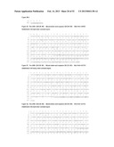 ANTIBODIES THAT BIND TO PSCA PROTEINS FOR DIAGNOSIS OF CANCER diagram and image