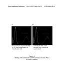 ANTIBODIES THAT BIND TO PSCA PROTEINS FOR DIAGNOSIS OF CANCER diagram and image