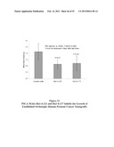 ANTIBODIES THAT BIND TO PSCA PROTEINS FOR DIAGNOSIS OF CANCER diagram and image