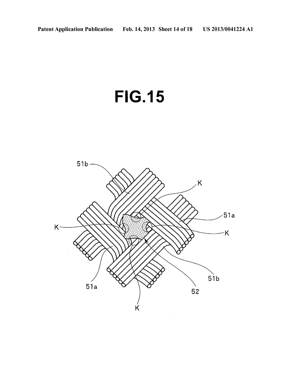 ENDOSCOPE - diagram, schematic, and image 15