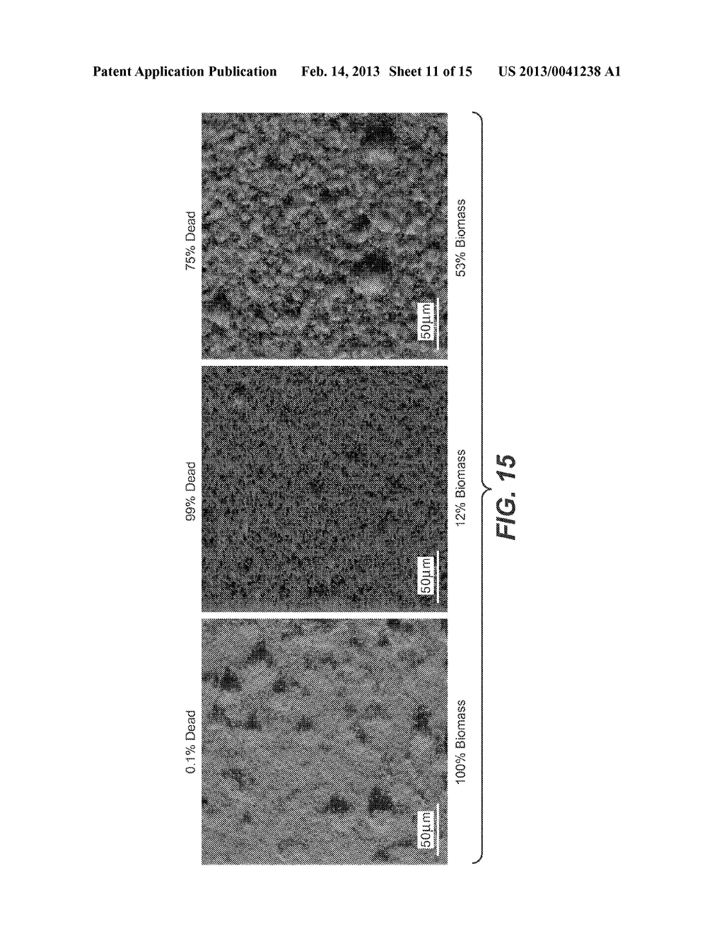 ELECTROCHEMICAL DISINFECTION OF IMPLANTED CATHETERS - diagram, schematic, and image 12