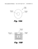 Modular Drug Delivery System for Minimizing Trauma During and After     Insertion of a Cochlear Lead diagram and image