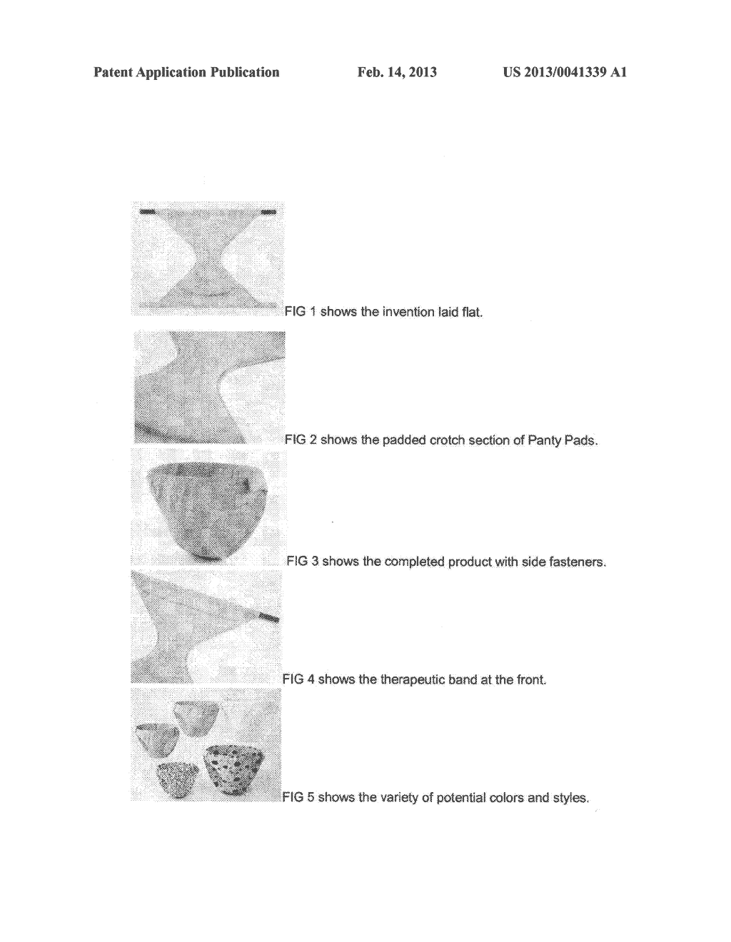 Panty Pads - diagram, schematic, and image 02