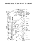 DUODENAL STIMULATION TO INDUCE SATIETY diagram and image