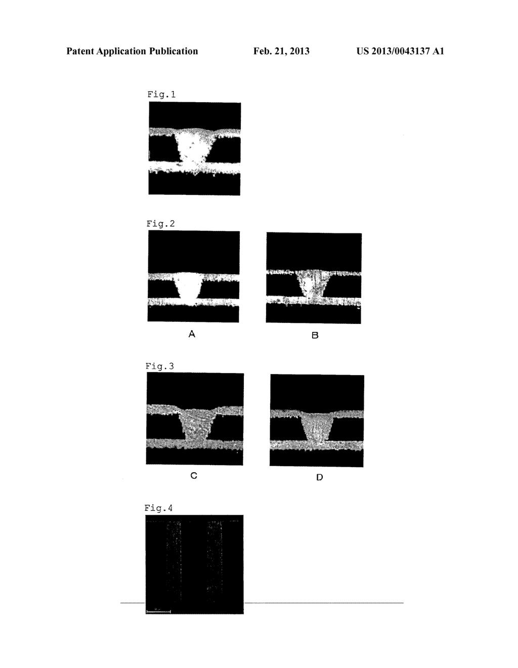 NOVEL COMPOUND AND USE THEREOF - diagram, schematic, and image 02