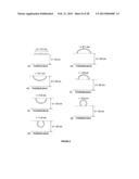 DYNAMIC STRETCHABLE OLED LAMP diagram and image