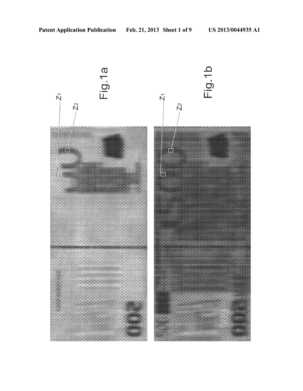 METHOD FOR PROCESSING BANKNOTES - diagram, schematic, and image 02