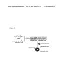 Magnetic Nano-Composite for Contrast Agent, Intelligent Contrast Agent,     Drug Delivery Agent for Simultaneous Diagnosis and Treatment, and     Separation Agent for Target Substance diagram and image