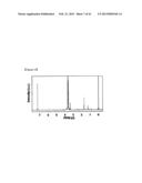 Magnetic Nano-Composite for Contrast Agent, Intelligent Contrast Agent,     Drug Delivery Agent for Simultaneous Diagnosis and Treatment, and     Separation Agent for Target Substance diagram and image