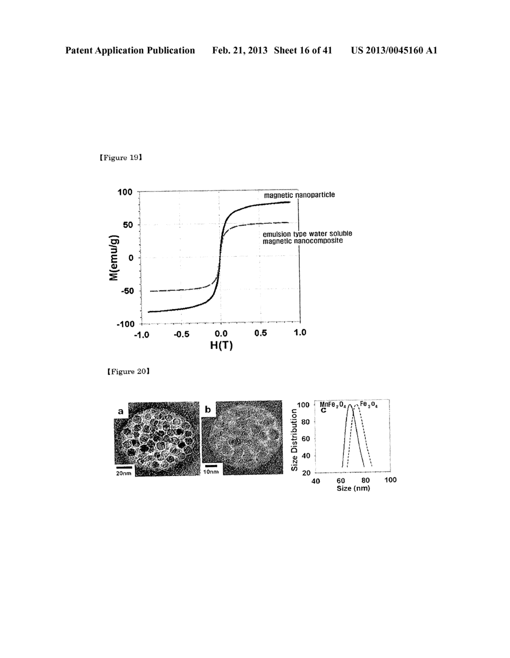 Magnetic Nano-Composite for Contrast Agent, Intelligent Contrast Agent,     Drug Delivery Agent for Simultaneous Diagnosis and Treatment, and     Separation Agent for Target Substance - diagram, schematic, and image 17