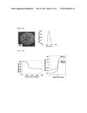 Magnetic Nano-Composite for Contrast Agent, Intelligent Contrast Agent,     Drug Delivery Agent for Simultaneous Diagnosis and Treatment, and     Separation Agent for Target Substance diagram and image