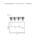 Magnetic Nano-Composite for Contrast Agent, Intelligent Contrast Agent,     Drug Delivery Agent for Simultaneous Diagnosis and Treatment, and     Separation Agent for Target Substance diagram and image