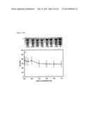 Magnetic Nano-Composite for Contrast Agent, Intelligent Contrast Agent,     Drug Delivery Agent for Simultaneous Diagnosis and Treatment, and     Separation Agent for Target Substance diagram and image