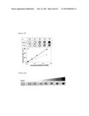 Magnetic Nano-Composite for Contrast Agent, Intelligent Contrast Agent,     Drug Delivery Agent for Simultaneous Diagnosis and Treatment, and     Separation Agent for Target Substance diagram and image