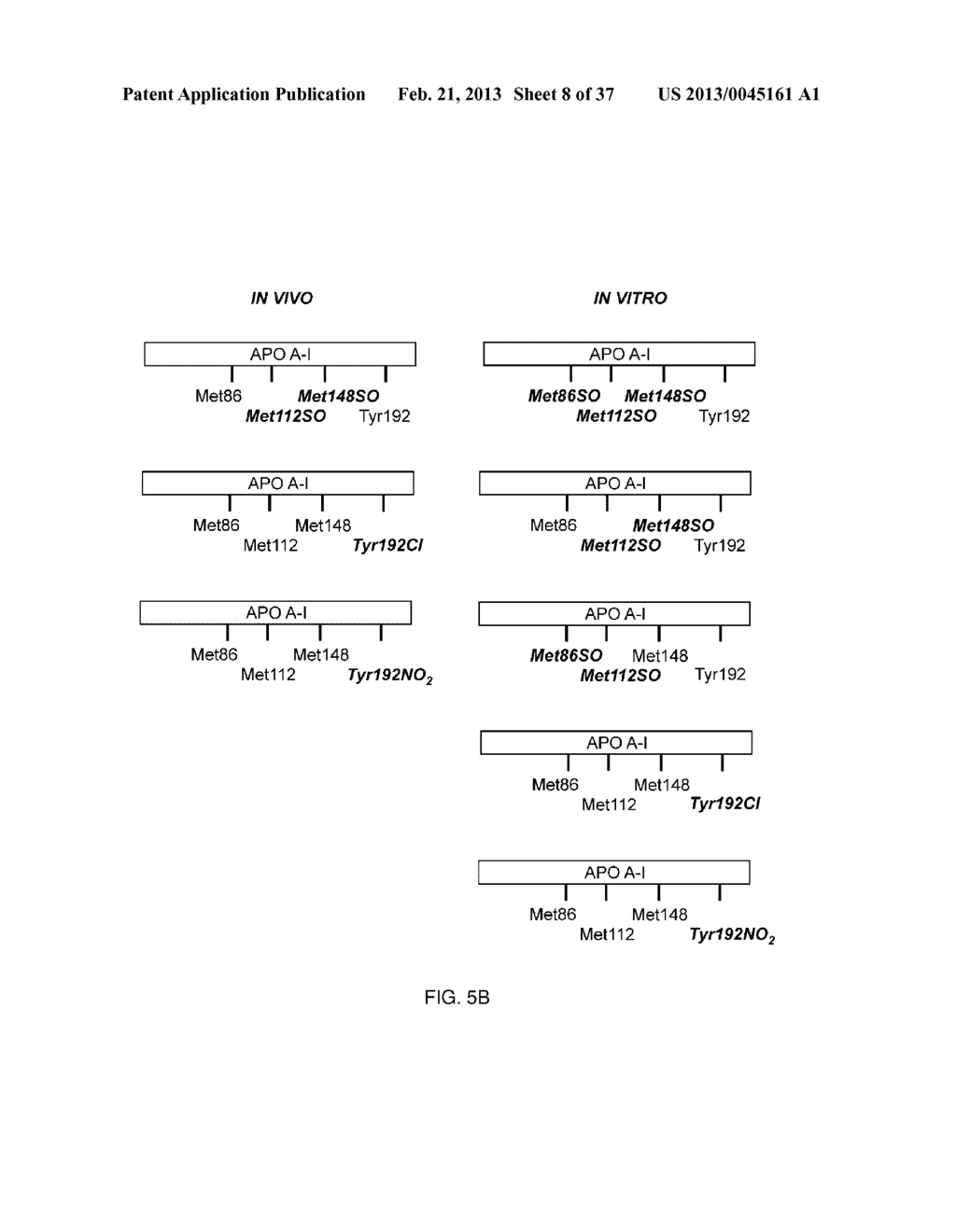 METHODS AND COMPOSITIONS FOR TARGETED IMAGING - diagram, schematic, and image 09