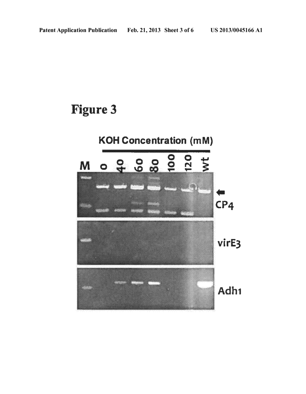 Methods of Polynucleotide Detection - diagram, schematic, and image 04