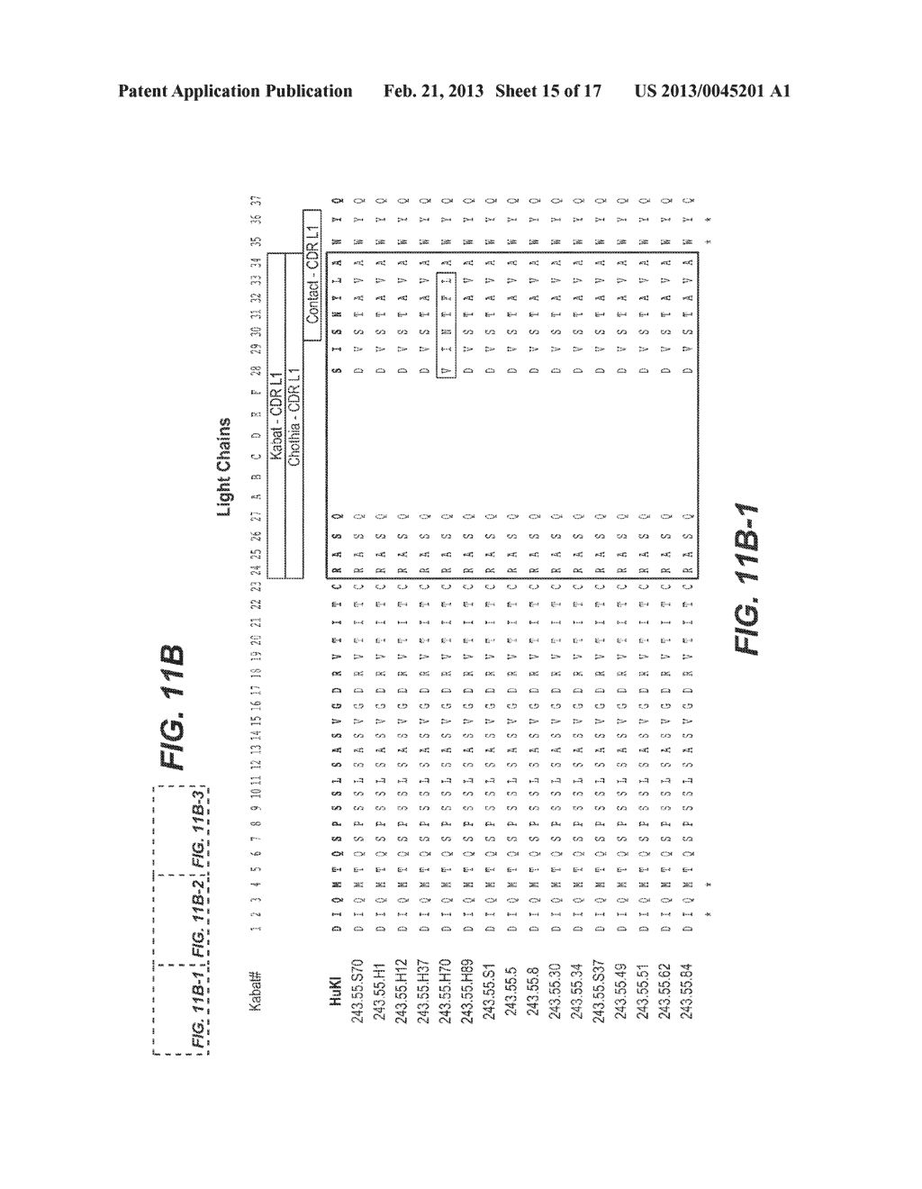 METHODS OF USING ANTI-PD-L1 ANTIBODIES AND THEIR USE TO ENHANCE T-CELL     FUNCTION TO TREAT TUMOR IMMUNITY - diagram, schematic, and image 16