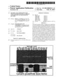 METHODS AND COMPOSITIONS FOR ENHANCED IMMUNOLOGICAL THERAPY AND TARGETING     OF GRAM-POSITIVE BACTERIA diagram and image