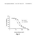 Synthetic Antigen Based on the Ligand Domain of the Plasmodium vivax Duffy     Binding Protein diagram and image