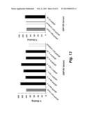 Synthetic Antigen Based on the Ligand Domain of the Plasmodium vivax Duffy     Binding Protein diagram and image