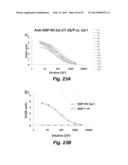 Synthetic Antigen Based on the Ligand Domain of the Plasmodium vivax Duffy     Binding Protein diagram and image