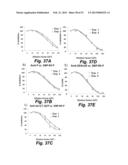 Synthetic Antigen Based on the Ligand Domain of the Plasmodium vivax Duffy     Binding Protein diagram and image