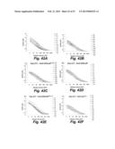 Synthetic Antigen Based on the Ligand Domain of the Plasmodium vivax Duffy     Binding Protein diagram and image