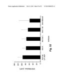 Synthetic Antigen Based on the Ligand Domain of the Plasmodium vivax Duffy     Binding Protein diagram and image