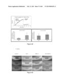 Glycosaminoglycans diagram and image