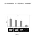 Glycosaminoglycans diagram and image