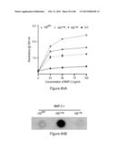 Glycosaminoglycans diagram and image