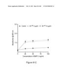 Glycosaminoglycans diagram and image