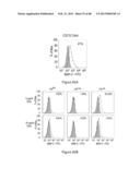 Glycosaminoglycans diagram and image