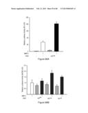 Glycosaminoglycans diagram and image