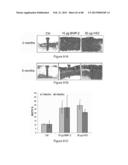 Glycosaminoglycans diagram and image