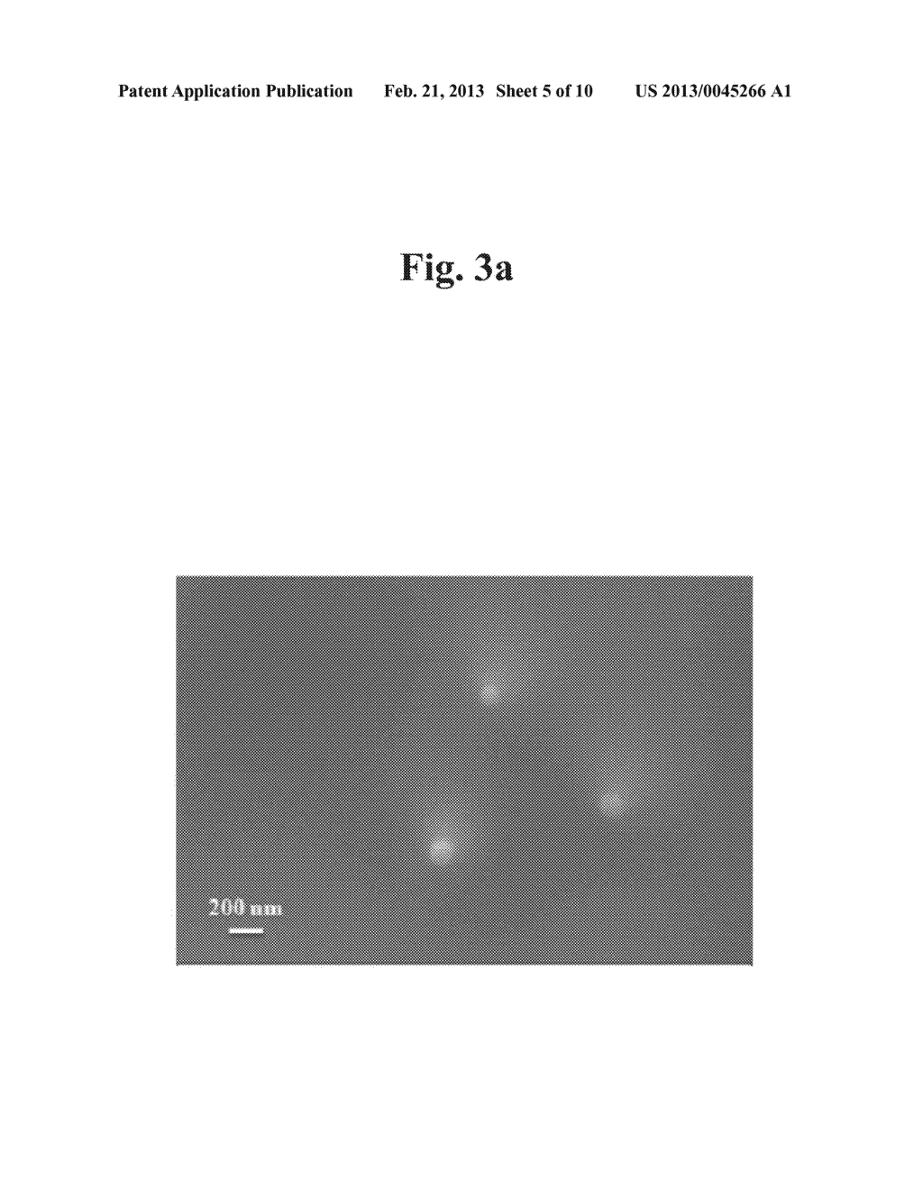 METHOD FOR PREPARING POLYMERIC BIOMATERIALS HAVING IMMOBILIZED DRUG     DELIVERY SYSTEM COMPRISING BIOACTIVE MOLECULES LOADED PARTICLE CARRIER - diagram, schematic, and image 06