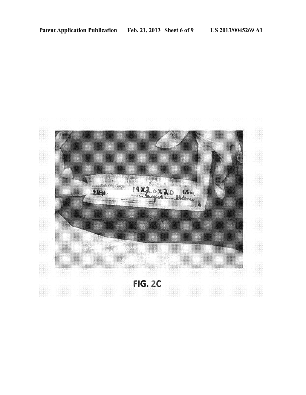 FORMULATIONS AND METHODS FOR WOUND TREATMENT - diagram, schematic, and image 07