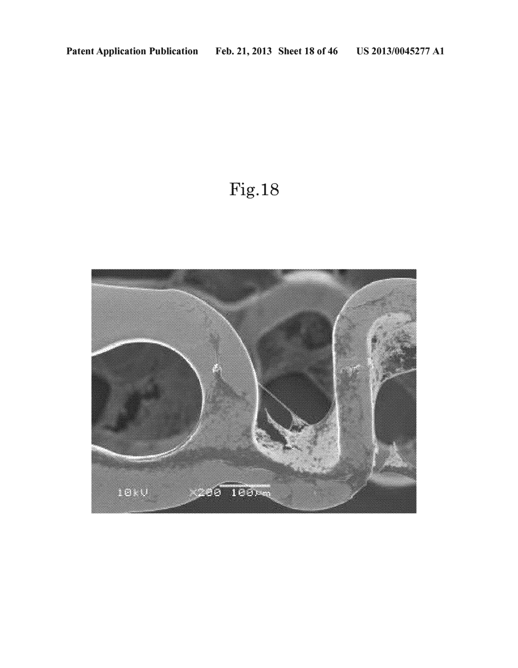 BIOCOMPATIBLE DEVICE - diagram, schematic, and image 19