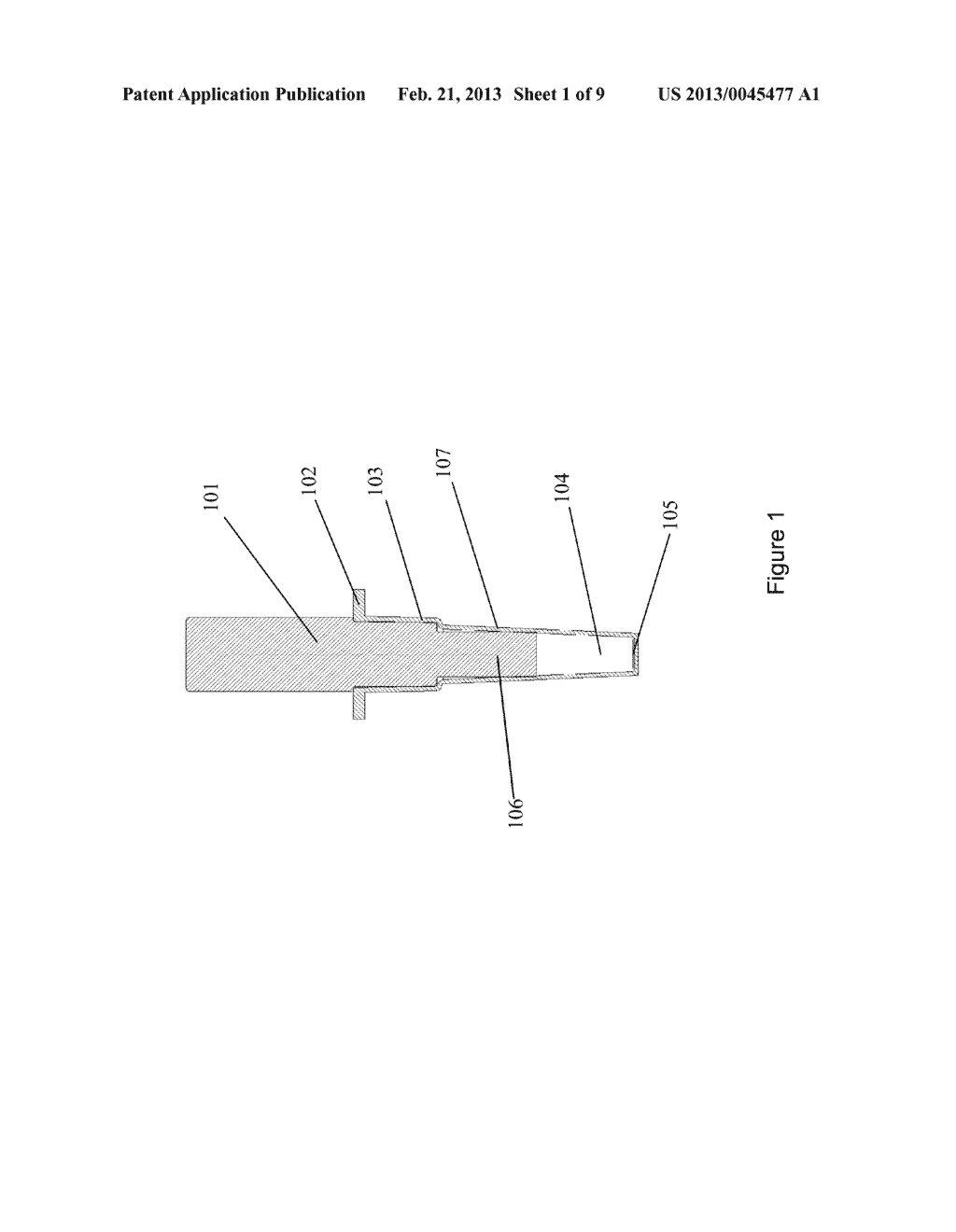 DIRECT NUCLEIC ACID ANALYSIS - diagram, schematic, and image 02