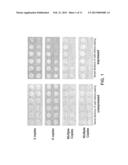 YEAST CELLS EXPRESSING AMYLOID BETA AND USES THEREFOR diagram and image