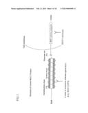 ANTIBODY AGAINST MUCIN 1 (MUC1) PROTEIN AND USE OF SAME diagram and image