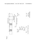 ANTIBODY AGAINST MUCIN 1 (MUC1) PROTEIN AND USE OF SAME diagram and image