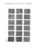 ANTIBODY AGAINST MUCIN 1 (MUC1) PROTEIN AND USE OF SAME diagram and image