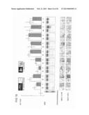 ANTIBODY AGAINST MUCIN 1 (MUC1) PROTEIN AND USE OF SAME diagram and image