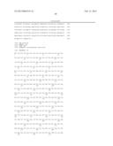 RECOMBINANT BACTERIA HAVING IMPROVED SUCROSE UTILIZATION diagram and image